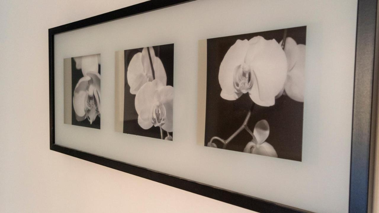 Italianway - Riva Di Reno 47 B Apartment โบโลญญา ภายนอก รูปภาพ